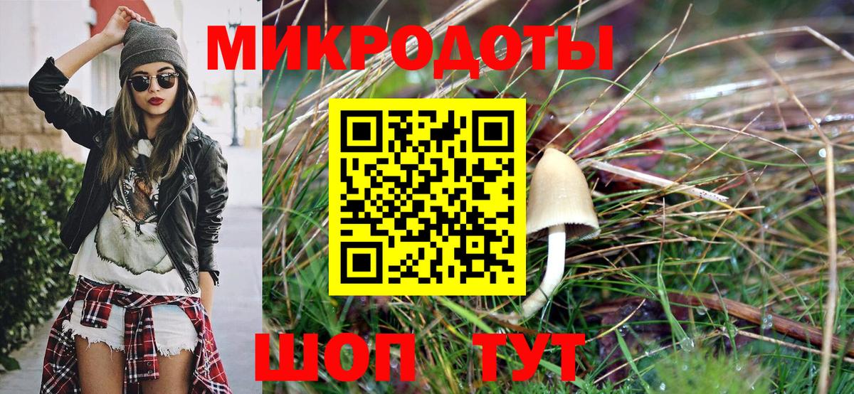 Торжок  Псилоцибиновые грибы мицелий  Вход с VPN 