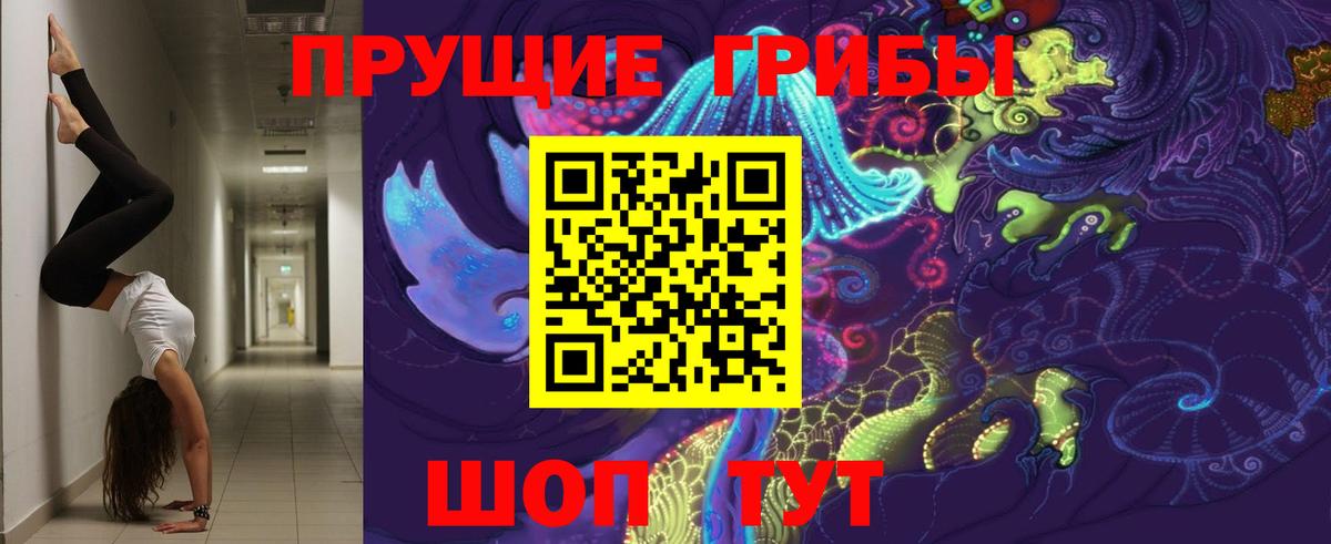 Галлюциногенные грибы Psilocybe Торжок